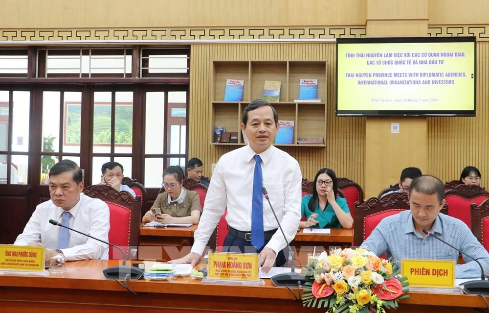 Pham Hoang Son, Permanent Vice Secretary of the provincial Party Committee and Chairman of the provincial People's Council, speaks at the event (Photo: VNA)