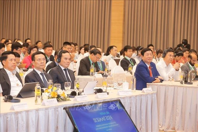 Deputy Prime Minister Tran Luu Quang (front row, 3rd from left) at the Vietnam - Asia Digital Transformation (DX) Summit 2024 held in Hanoi on the afternoon of May 28. (Photo: VNA)