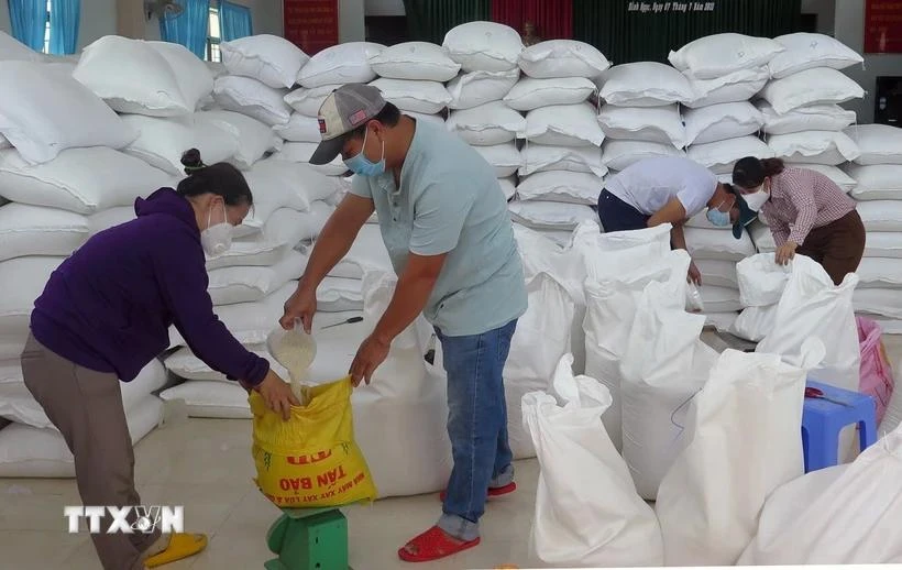 Rice will be distributed to five central and Central Highlands provinces. (Photo: VNA)