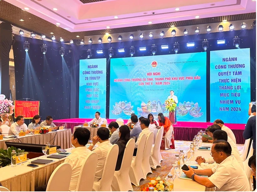 Deputy Minister of Industry and Trade Nguyen Sinh Nhat Tan speaks at the meeting. (Photo: VietnamPlus). 