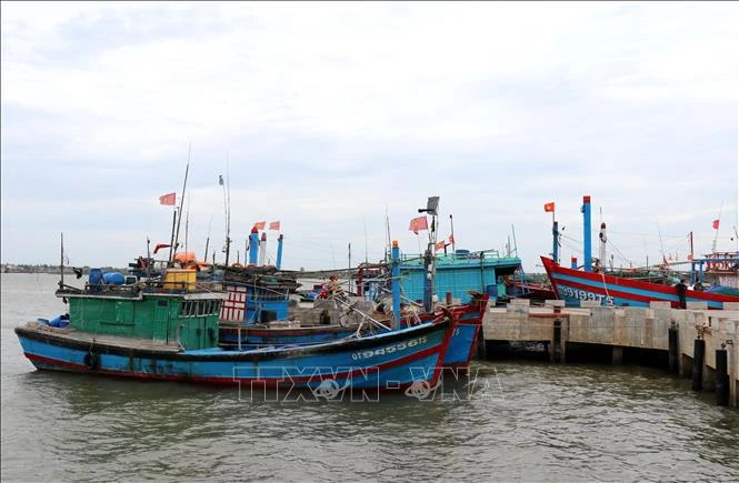 Fishing vessels in Quang Tri province (Photo: VNA)
