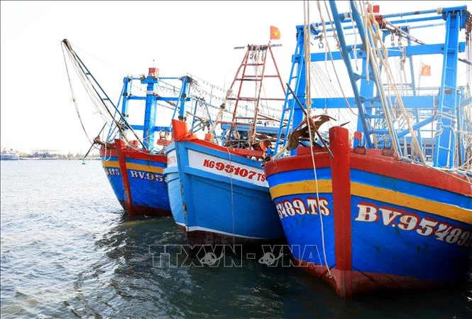 A raft of solutions have been put in place in Kien Giang province to fight illegal fishing. (Photo: VNA)