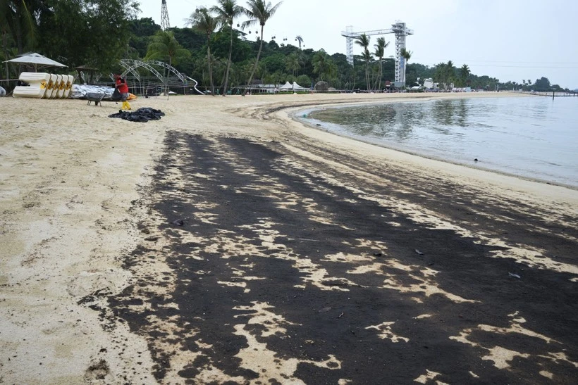 Malaysia cleans up beaches hit by oil spill from Singapore