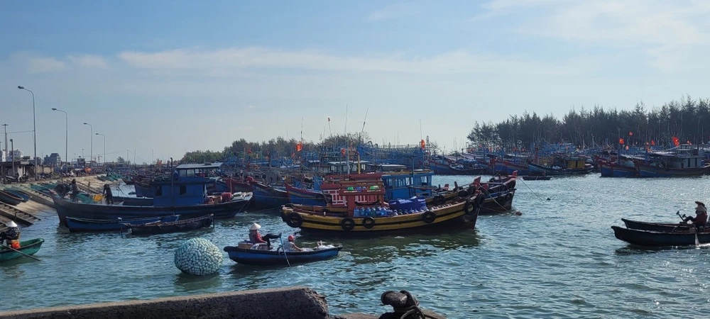 Ba Ria – Vung Tau tightens management over unregistered fishing vessels. (Photo: VNA)