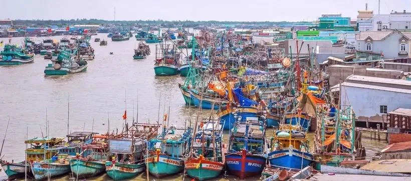 Offshore fishing boats docking at the seaport of Song Doc township, Tran Van Thoi district, the Mekong Delta province of Ca Mau (Photo: VNA)