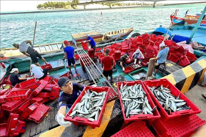 马来西亚官员分享可持续渔业发展经验 – Vietnam Plus