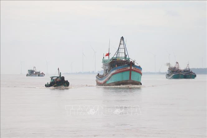 Ben Tre province takes concerted efforts to combat IUU fishing. (Photo: VNA)