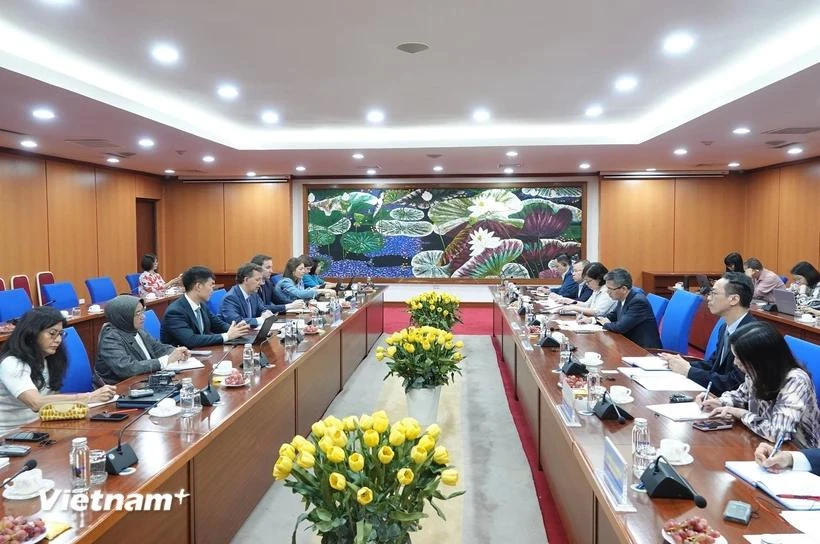 Deputy Minister of Finance Vo Thanh Hung has a working session with Paulo Medas, head of an IMF 2024 Article IV consultation team in Hanoi. (Photo: The Courtesy of the Finance Ministry)