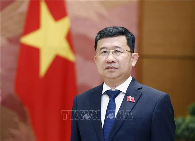 Chairman of the NA's Committee for External Relations Vu Hai Ha (Photo: VNA)