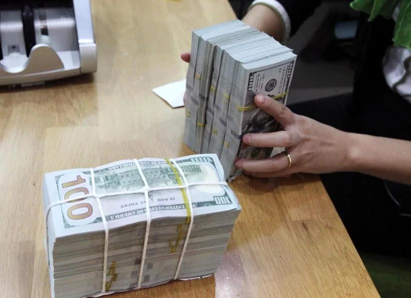 The State Bank of Vietnam sets the daily reference exchange rate at 24,252 VND/USD on July 29. (Photo: VNA)