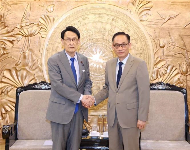 Chairman of the CPV Central Committee's Commission for External Relations Le Hoai Trung (R) and Chairman of the Policy Research Council of the Liberal Democratic Party (LDP) of Japan Tokai Kisaburo at their meeting on August 2 (Photo: VNA)