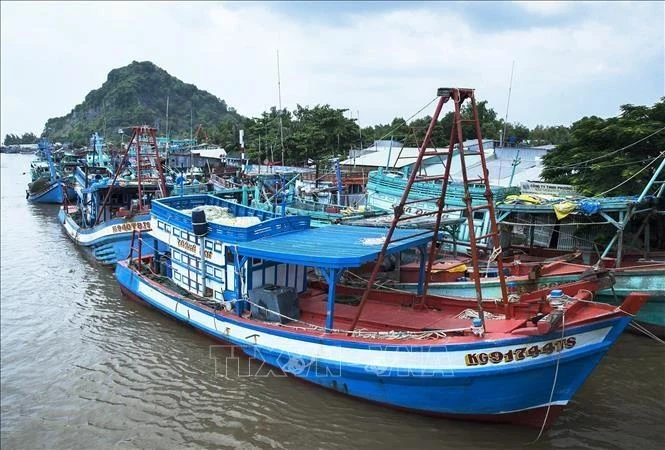 Thanh Hoa's offshore fishing vessels (Photo: VNA)