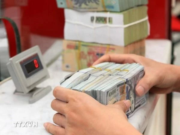 The daily reference exchange rate for the US dollar is set at 24,260 VND/USD on August 9. (Photo: VNA)