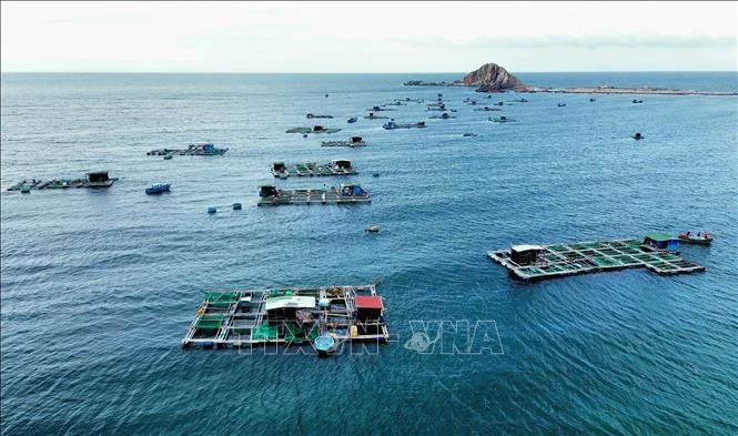 Cage fish farming in Ninh Hai district, Ninh Thuan province. (Photo: VNA)