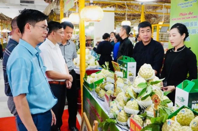 Chi Lang custard apples are introduced at the trade fair. (Photo: VNA)