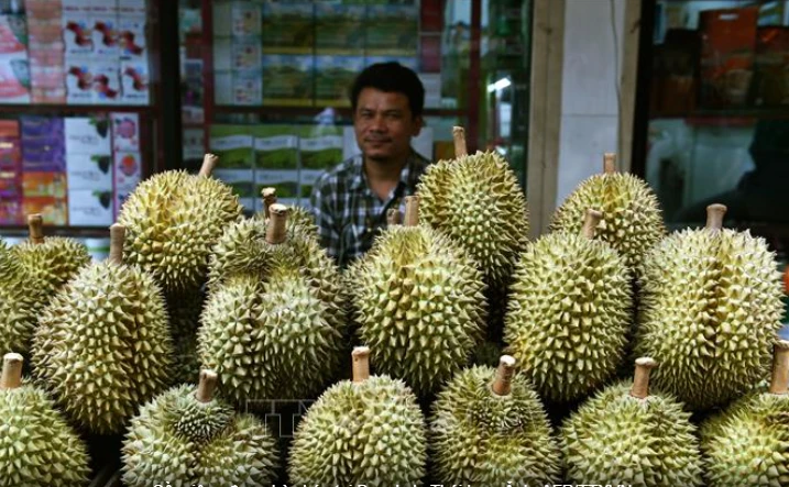 Thai durians on sale in Bangkok (Photo: AFP/VNA)