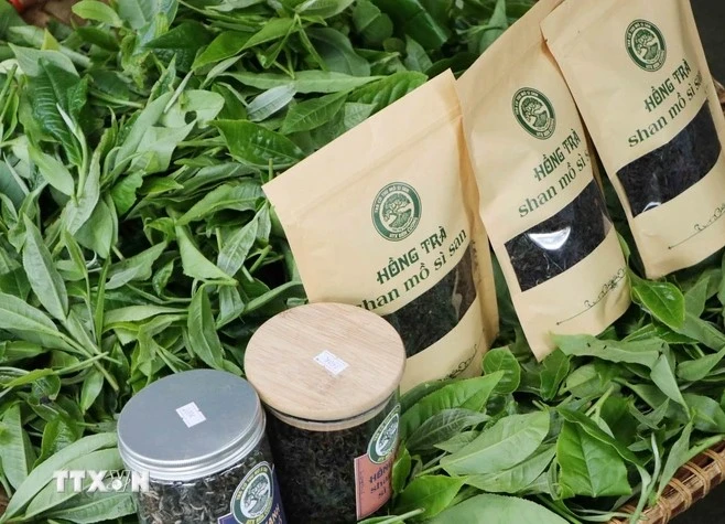 Tea products of Lai Chau (Photo: VNA)