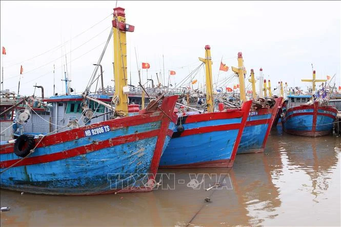 Fishing boats docking at a port in Nam Dinh (Photo: VNA)