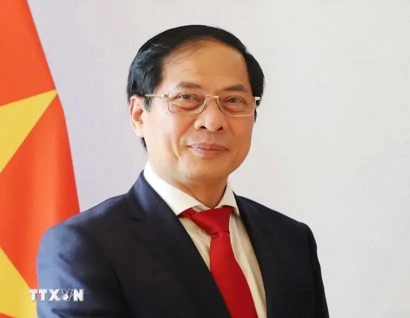 Vietnamese Deputy Prime Minister and Minister of Foreign Affairs Bui Thanh Son. (Photo: VNA)