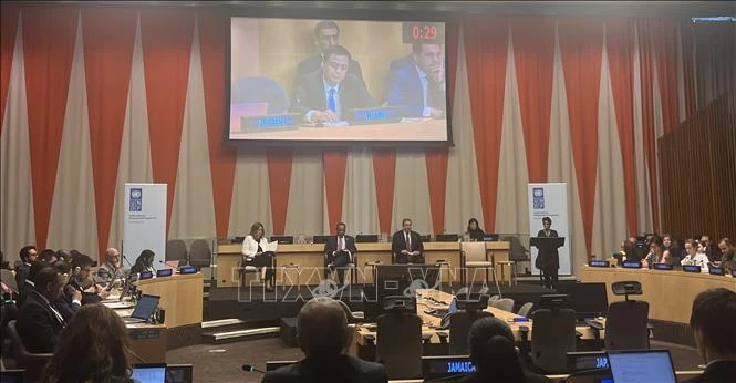 Ambassador Dang Hoang Giang, Permanent Representative of Vietnam to the UN, speaks at the UNDP Executive Board's dialogue with member states on actions to accelerate the adoption of sustainable energy for development, held in New York on August 27. (Photo: VNA)