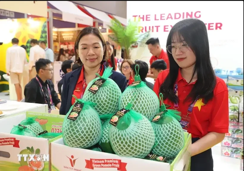 Vietnamese green-skinned pomelos are on display at the Asia Fruit Logistica in Hong Kong (China)