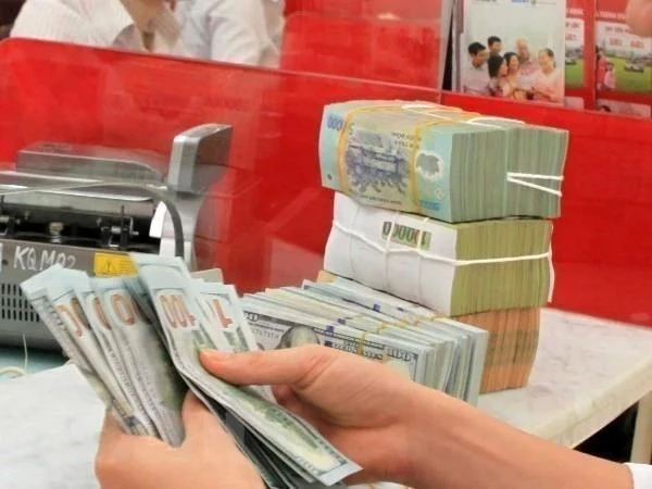 The State Bank of Vietnam sets daily reference exchange rate for the US dollar at 24,202 VND/USD on September 6 (Photo: VNA)