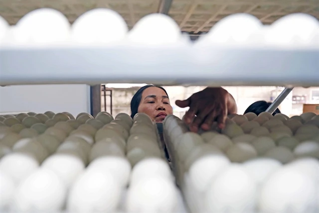 A farm household in Bac Giang borrowed money from banks to invest in a poultry breading farm. Expanding investments to drive economic growth is a priority in achieving the credit growth target. (Photo: VNA)