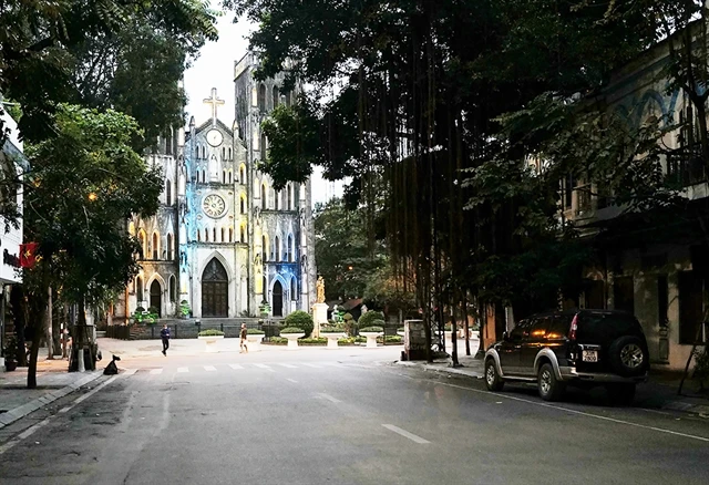 The historic St Joseph's Cathedral and neighbouring French-styled houses frame a scene where lush foliage and tree roots weave a romantic tapestry. (Photo: mia.vn)