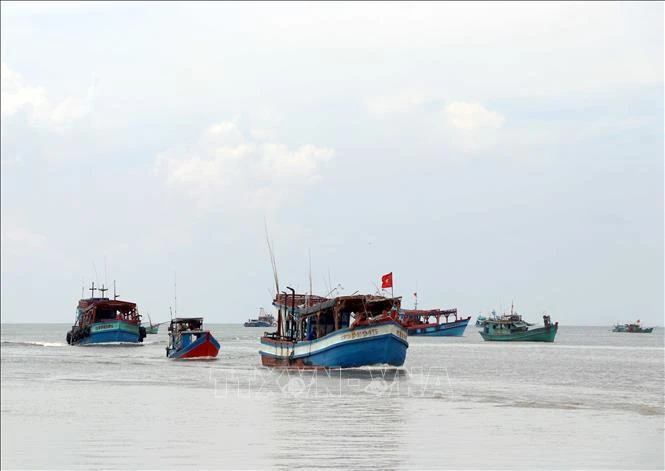 Ca Mau's fishing vessels (Photo: VNA)