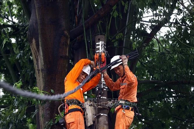 Workers from Hai Ba Trung Electricity in Hanoi fix an incident on medium voltage lines on Han Thuyen Street on September 8. (Photo: VNA)