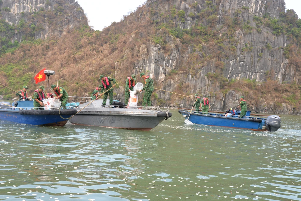 Soldiers collect garbage in Ha Long Bay, Quang Ninh province after Typhoon Yagi. (Photo: baoquangninh.vn)