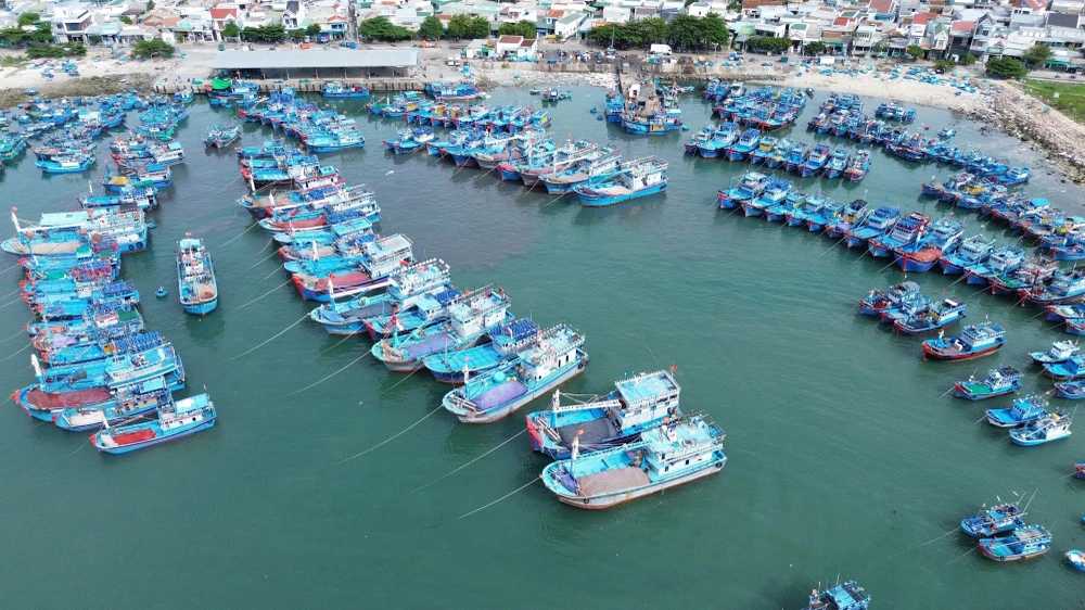 Fishing boats anchor at My Tan Port in Ninh Thuan province. (Photo: VNA)