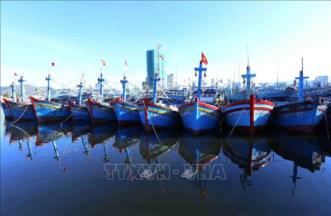 The south-central coastal province of Binh Dinh will provide one-time financial support for the installation of vessel monitoring systems for boats measuring between 12 and 15 metres. (Photo: VNA)