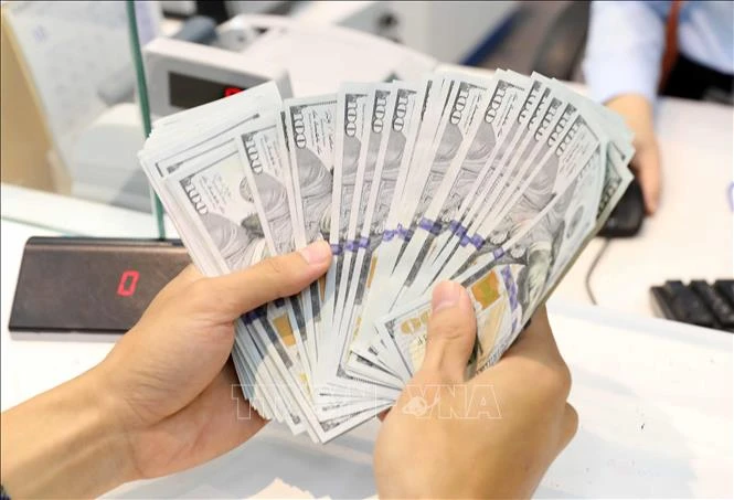 The daily reference exchange rate for the US dollar is set at 24,081 VND/USD on October 1. (Photo: VNA)