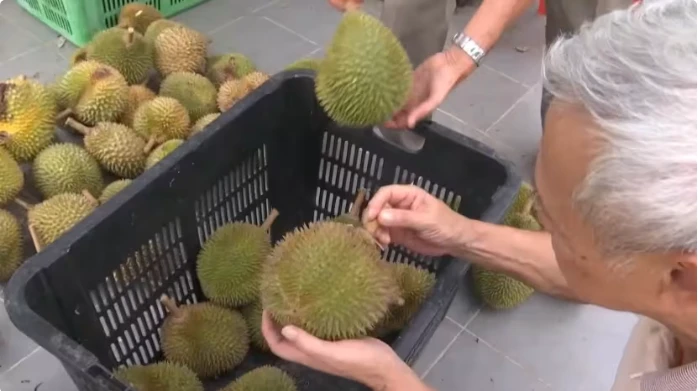 A customer in Malaysia examines durians. (Photo: CNA)