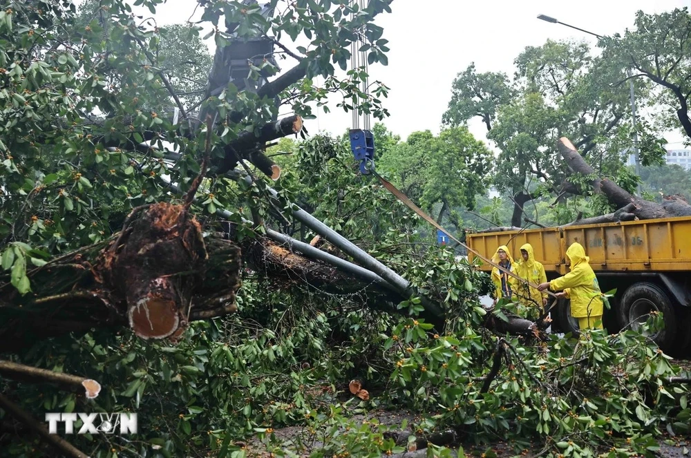 Authorities clear up Dinh Tien Hoang street, Hoan Kiem district, in the heart of Hanoi. (Photo: VNA)