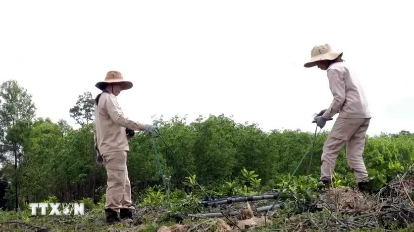 Cleaning areas contaminated with bombs and mines in Quang Binh province (Photo: VNA)