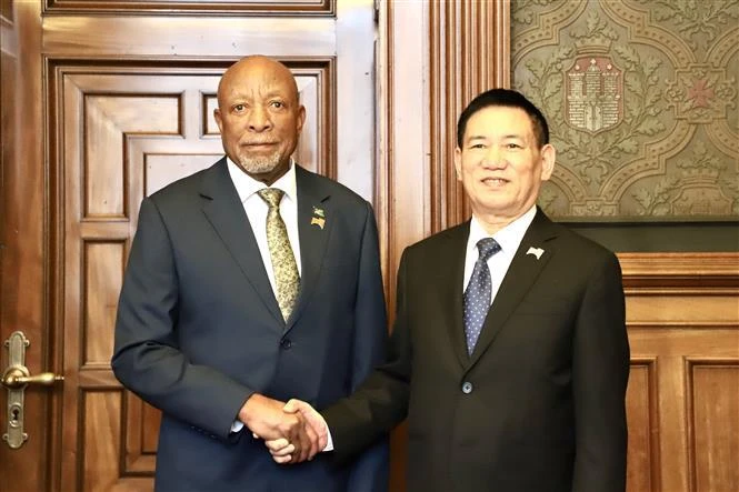 Vietnamese Deputy Prime Minister Ho Duc Phoc (R) shakes hands with President of the Republic of Namibia Nangolo Mbumba. (Photo: VNA)