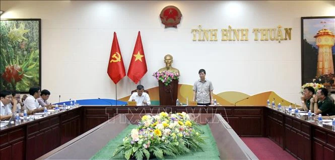 Vice Chairman of the Binh Thuan provincial People's Committee Nguyen Hong Hai speaks at the meeting. (Photo: VNA)