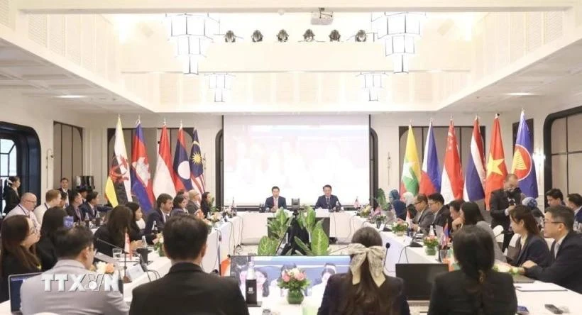 An overview of the 19th Meeting of the Working Group on the ASEAN Forum on Taxation in Luang Prabang province of Laos. (Photo: VNA)