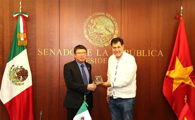 The President of Mexican Senate Gerardo Fernández Noroña (right) presents a souvenir to newly appointed Ambassador Nguyen Van Hai (Photo: VNA)