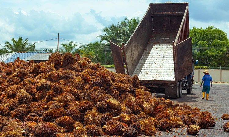 At a palm oil mill in Malaysia (Photo: sulpom.com)