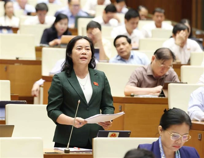 A legislator speaks at the NA meeting on October 22. (Photo: VNA)