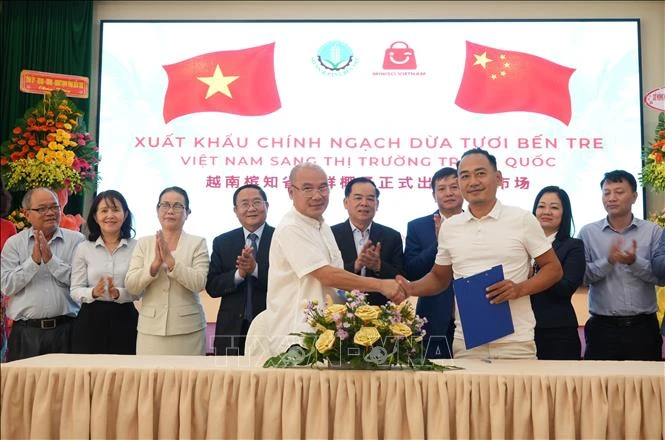 Vietnamese and Chinese enterprises sign a coconut purchase contract at a ceremony. (Photo: VNA)