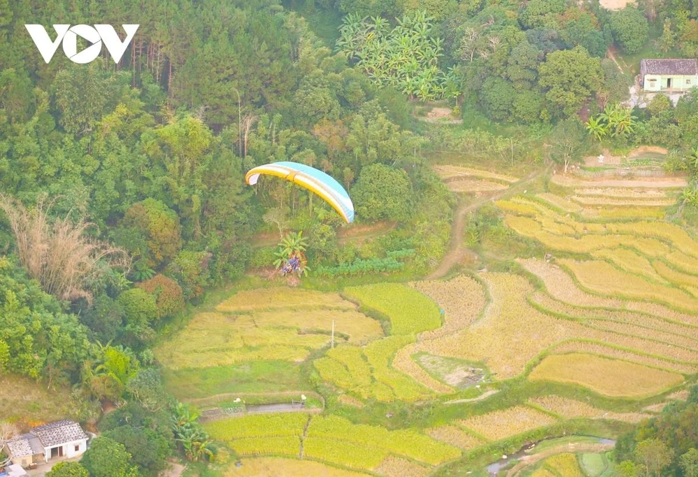 A paragliding festival themed "Flying over the golden season" attracts a large number of visitors (Source: VOV)