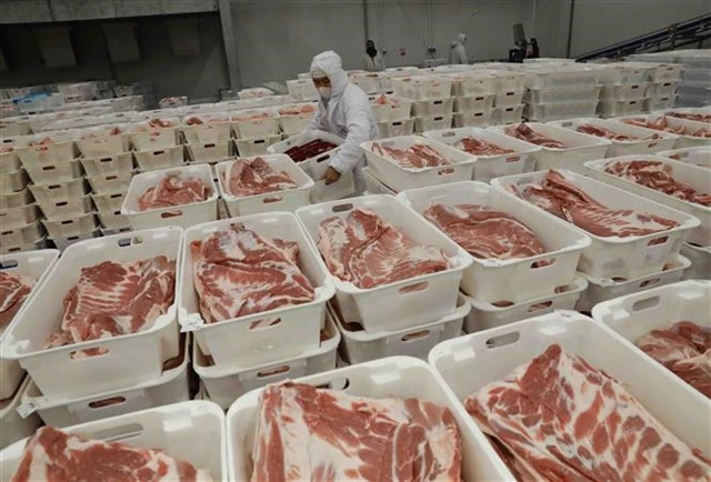 The chilled pork processing line of Masan Meatlife's factory in Hà Nam Province. (Photo: VNA)