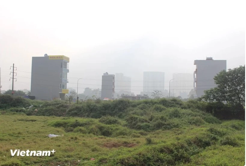 The “wave” of land auctioning that precipitates abnormally high prices now prevalent in many parts of the country. (Photo: Hung Vo/VietnamPlus)