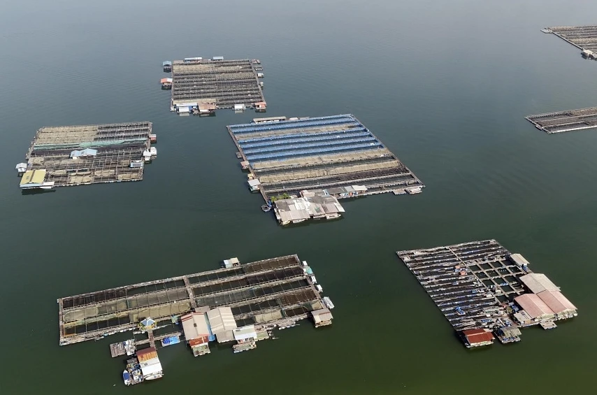 All of the sea-based fish farms currently in operation in Singapore are located in the Johor Strait. (Photo: The Straits Times)