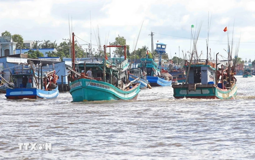 Ca Mau still has 274 “three Nos” vessels, of which 65 boats have been sold but their new owners have not registered to competent authorities. (Photo: VNA)