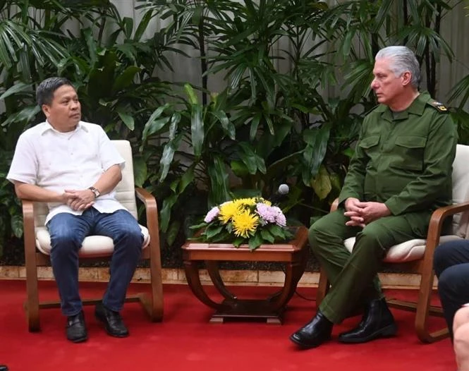 President of Cuba Miguel Díaz-Canel (R) receives Thai Binh Corporation's President Tran Thanh Tu. (Photo: VNA)